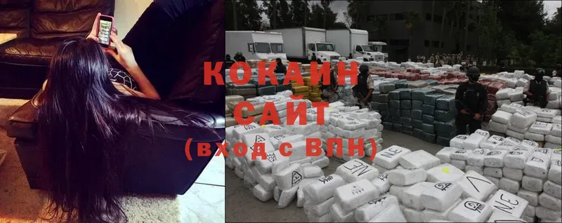 Cocaine FishScale  hydra как зайти  Воронеж 