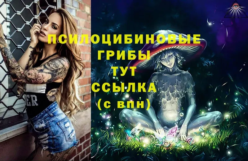 Галлюциногенные грибы Magic Shrooms  Воронеж 